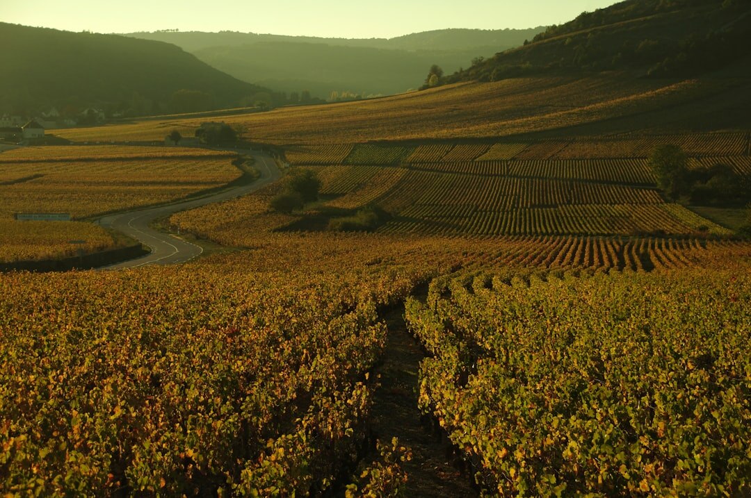 regional landscape france